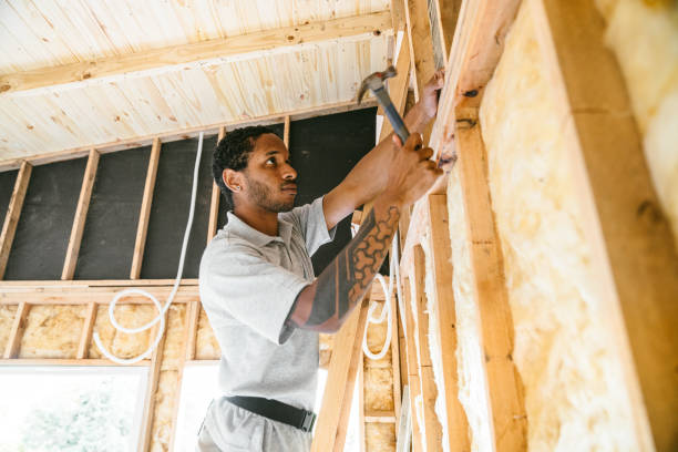 Best Insulation Inspection Services  in Massapequa Park, NY