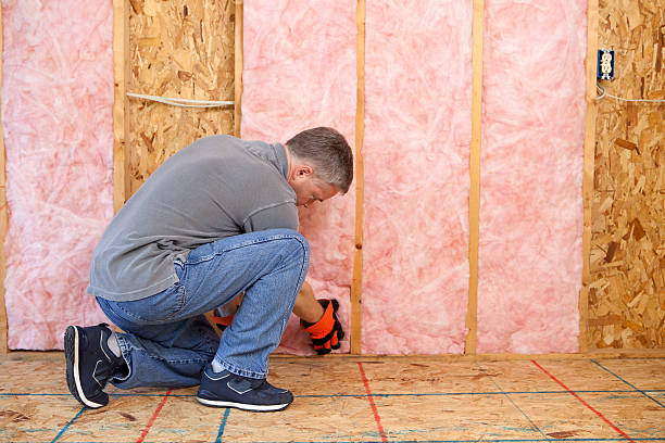 Best Local Insulation Services  in Massapequa Park, NY