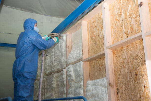 Best Crawl Space Insulation  in Massapequa Park, NY