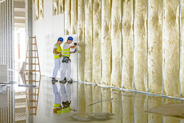 Best Insulation Contractor Near Me  in Massapequa Park, NY